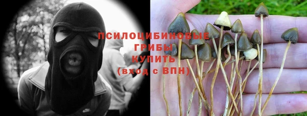 марки nbome Горнозаводск