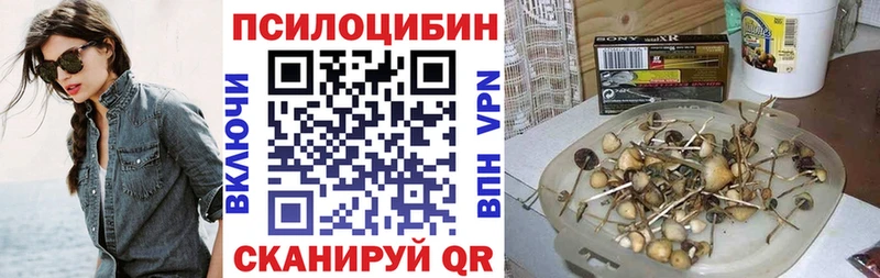 хочу наркоту  Курск  Галлюциногенные грибы прущие грибы 